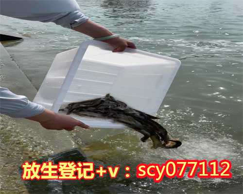 衢州怎么放生海虾，衢州光孝寺放生规定，衢州在哪里放生鱼